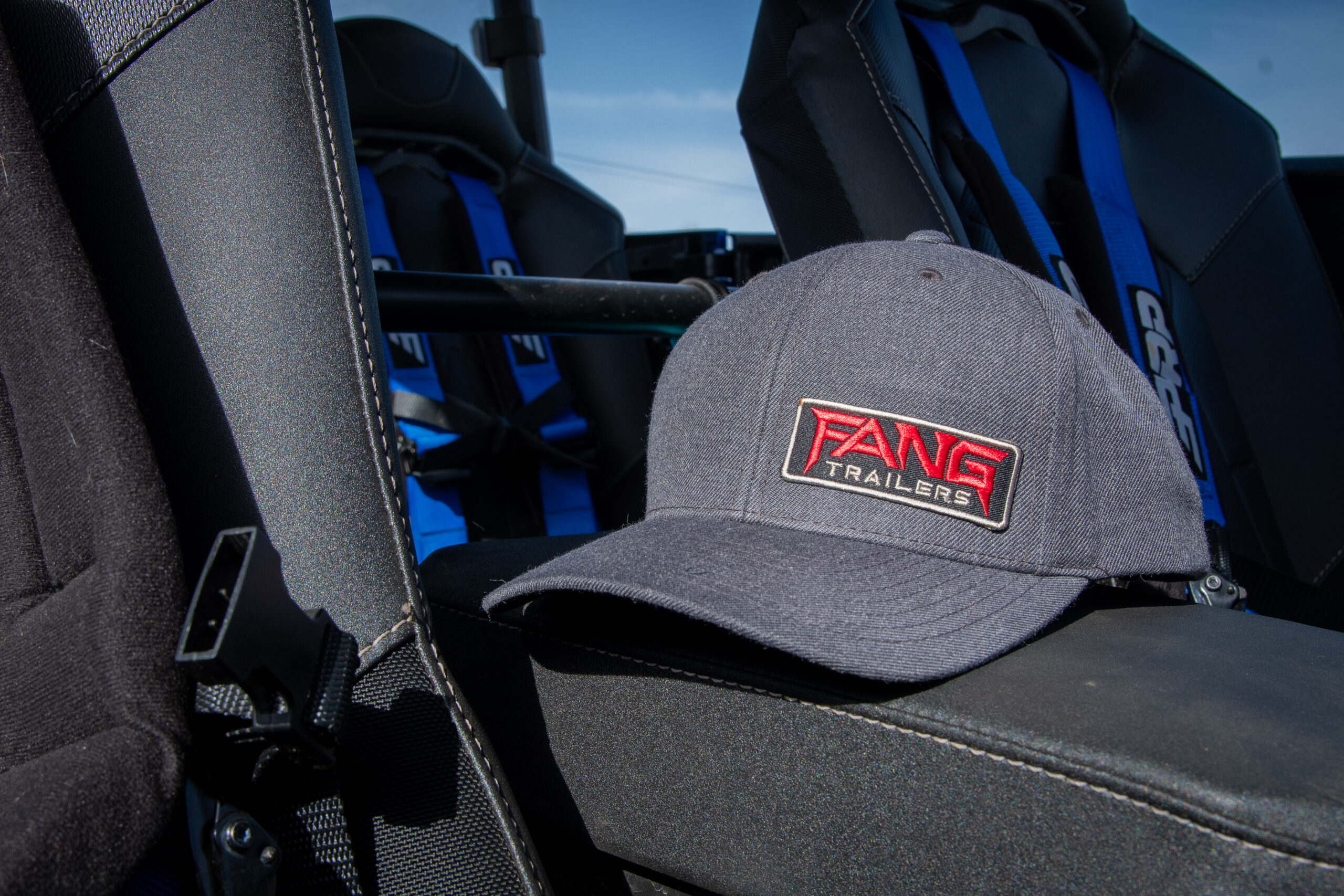 fang hat